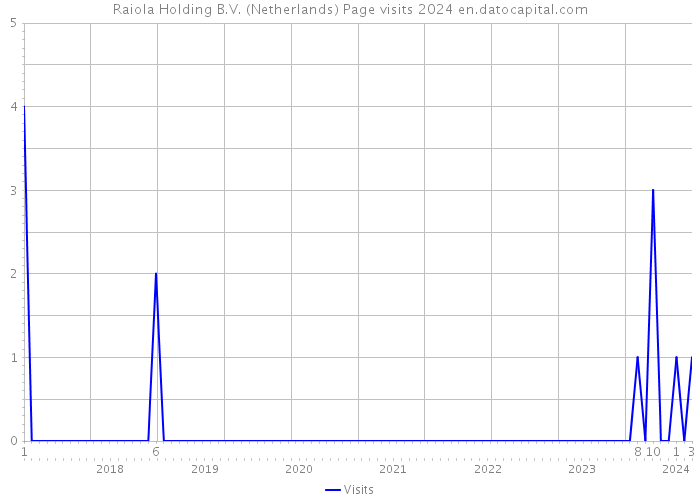 Raiola Holding B.V. (Netherlands) Page visits 2024 