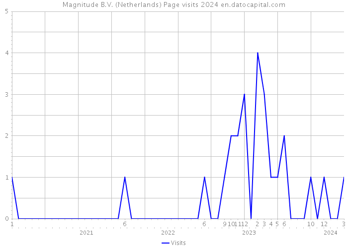 Magnitude B.V. (Netherlands) Page visits 2024 