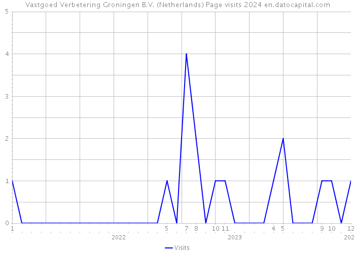 Vastgoed Verbetering Groningen B.V. (Netherlands) Page visits 2024 