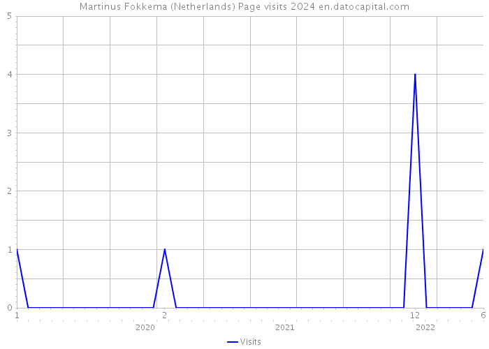 Martinus Fokkema (Netherlands) Page visits 2024 