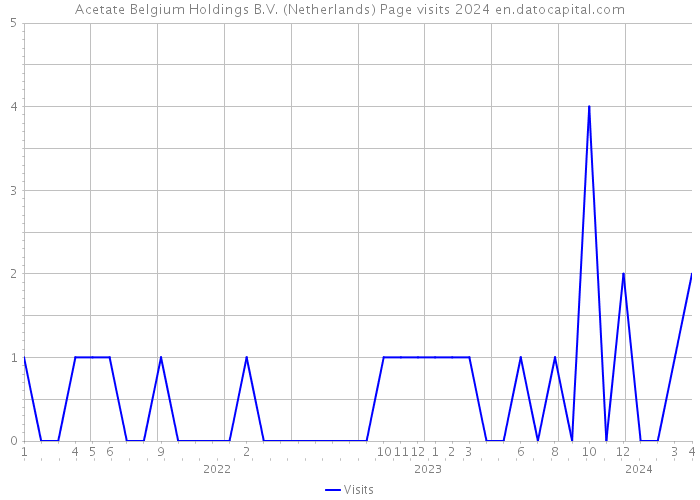 Acetate Belgium Holdings B.V. (Netherlands) Page visits 2024 