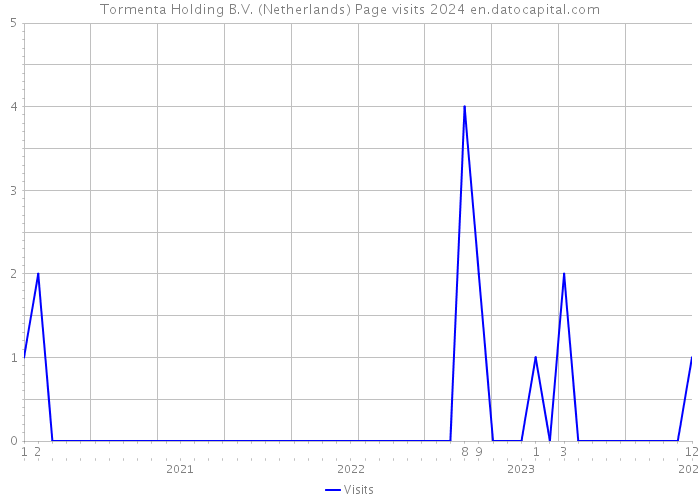 Tormenta Holding B.V. (Netherlands) Page visits 2024 
