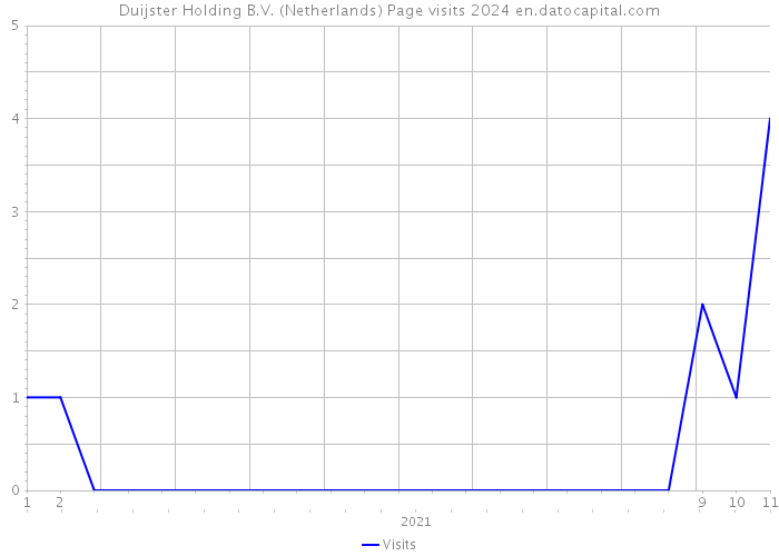 Duijster Holding B.V. (Netherlands) Page visits 2024 