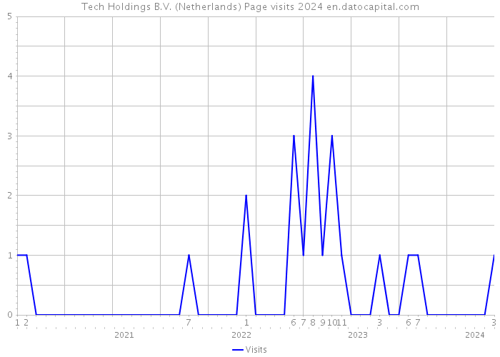 Tech Holdings B.V. (Netherlands) Page visits 2024 