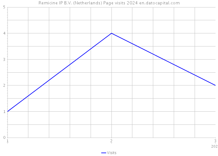 Remicine IP B.V. (Netherlands) Page visits 2024 