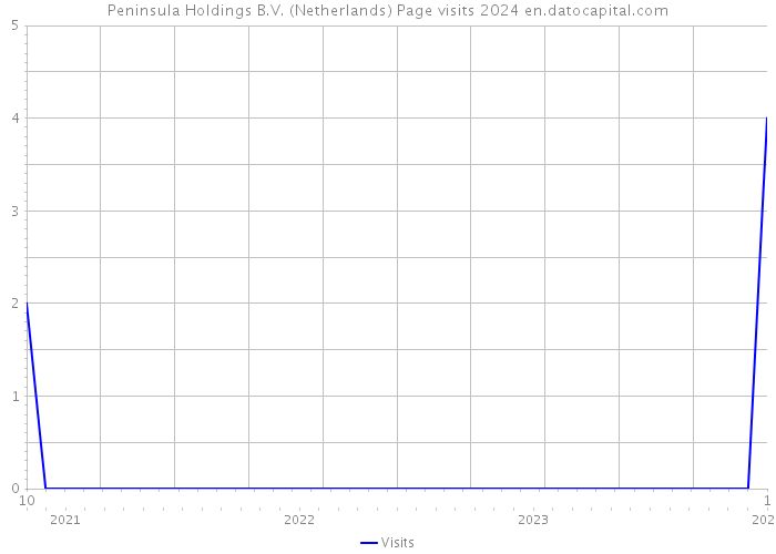 Peninsula Holdings B.V. (Netherlands) Page visits 2024 