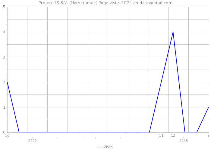 Project 13 B.V. (Netherlands) Page visits 2024 