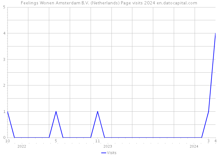 Feelings Wonen Amsterdam B.V. (Netherlands) Page visits 2024 