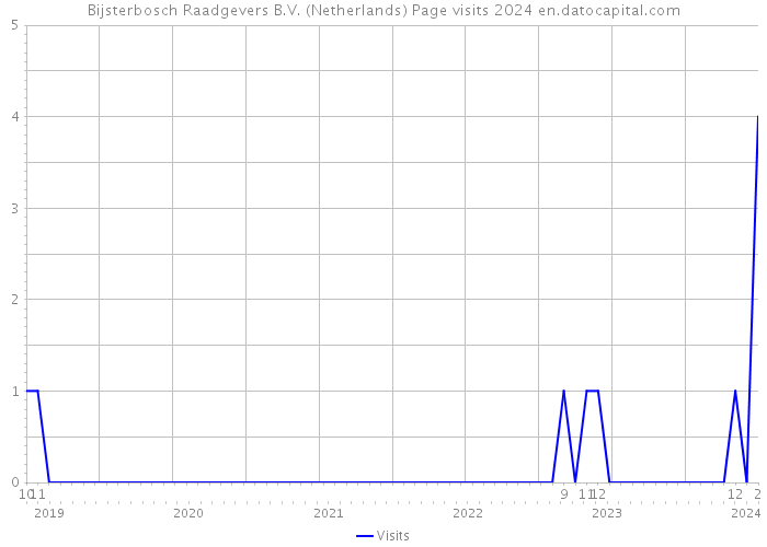 Bijsterbosch Raadgevers B.V. (Netherlands) Page visits 2024 