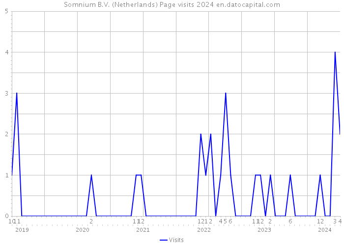 Somnium B.V. (Netherlands) Page visits 2024 