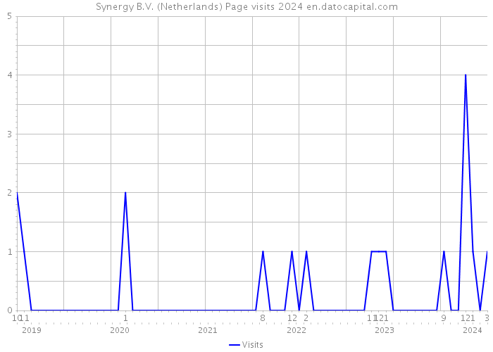 Synergy B.V. (Netherlands) Page visits 2024 