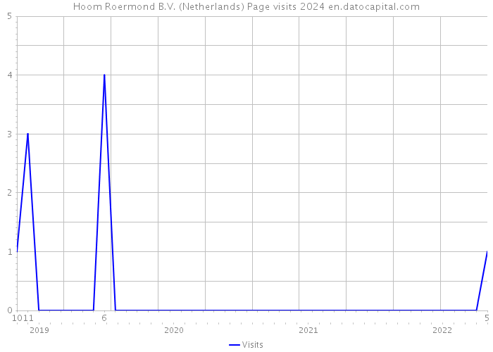 Hoom Roermond B.V. (Netherlands) Page visits 2024 