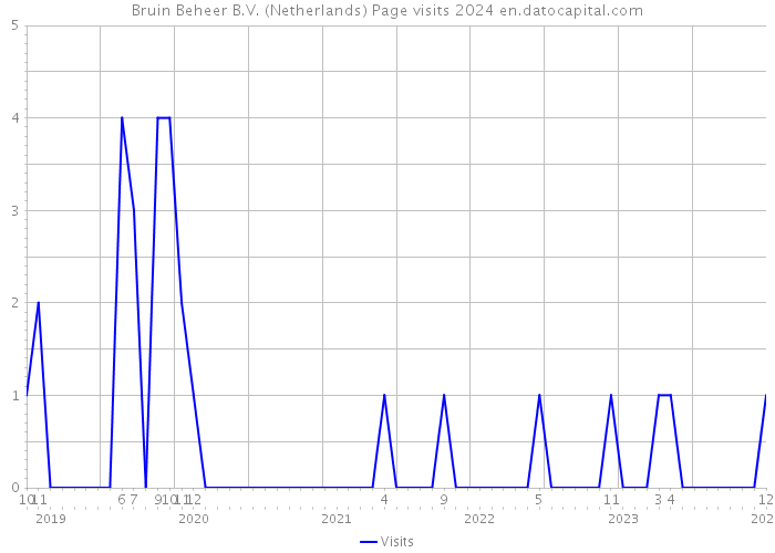 Bruin Beheer B.V. (Netherlands) Page visits 2024 