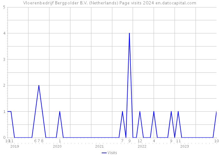 Vloerenbedrijf Bergpolder B.V. (Netherlands) Page visits 2024 