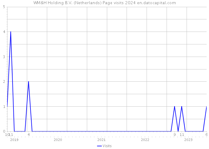 WM&H Holding B.V. (Netherlands) Page visits 2024 