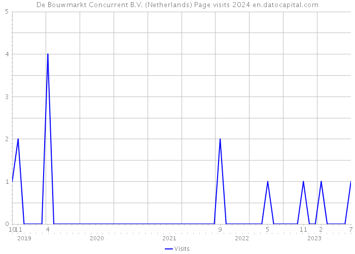 De Bouwmarkt Concurrent B.V. (Netherlands) Page visits 2024 