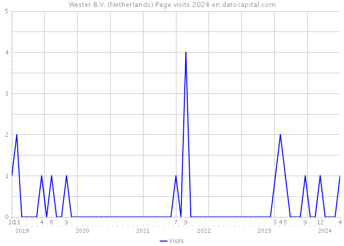 Wester B.V. (Netherlands) Page visits 2024 
