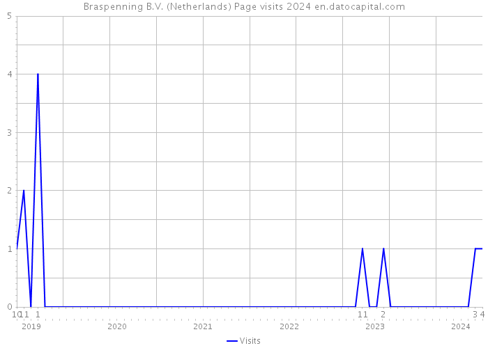 Braspenning B.V. (Netherlands) Page visits 2024 