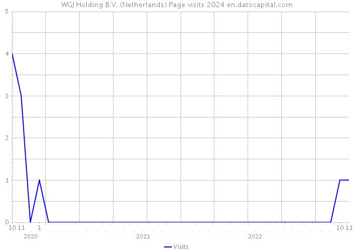 WGJ Holding B.V. (Netherlands) Page visits 2024 