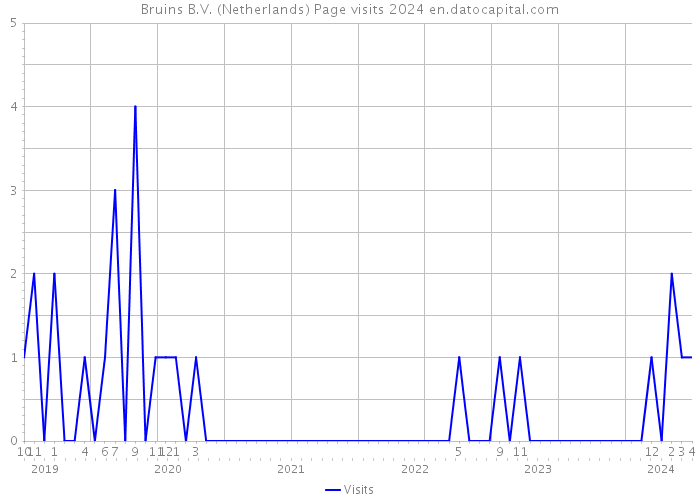 Bruins B.V. (Netherlands) Page visits 2024 