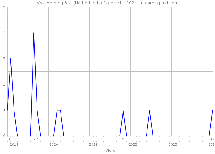 Vos' Holding B.V. (Netherlands) Page visits 2024 