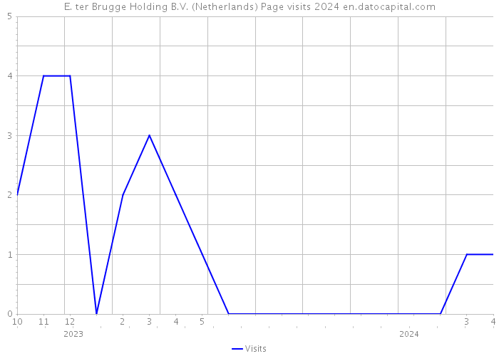 E. ter Brugge Holding B.V. (Netherlands) Page visits 2024 