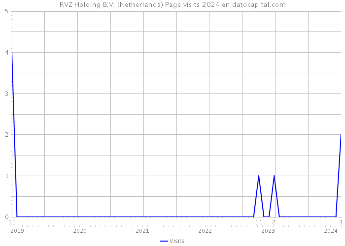 RVZ Holding B.V. (Netherlands) Page visits 2024 
