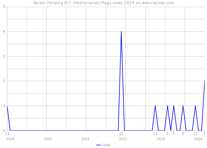 Spider Holding B.V. (Netherlands) Page visits 2024 