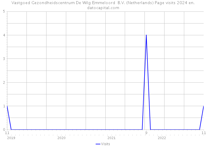 Vastgoed Gezondheidscentrum De Wilg Emmeloord B.V. (Netherlands) Page visits 2024 