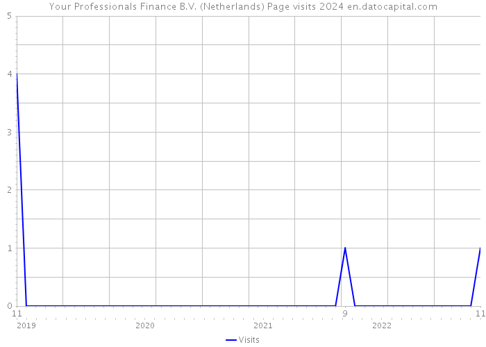 Your Professionals Finance B.V. (Netherlands) Page visits 2024 