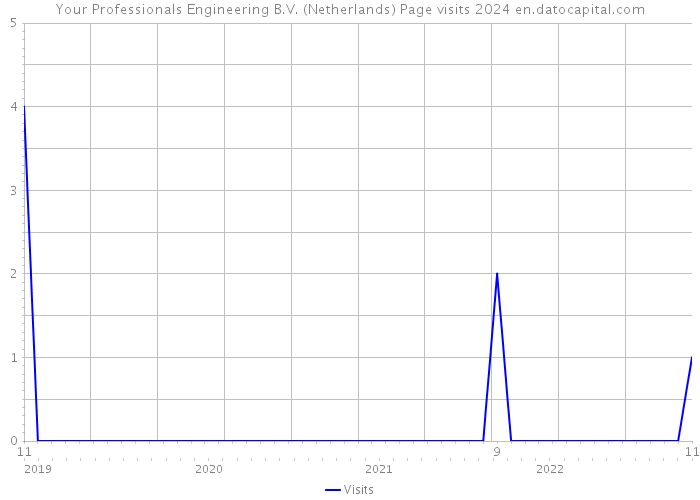 Your Professionals Engineering B.V. (Netherlands) Page visits 2024 