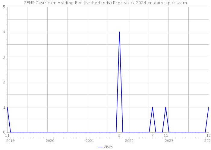 SENS Castricum Holding B.V. (Netherlands) Page visits 2024 