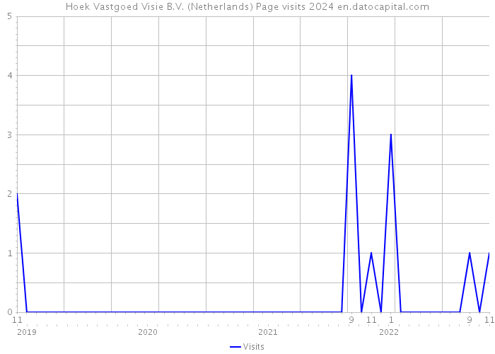 Hoek Vastgoed Visie B.V. (Netherlands) Page visits 2024 