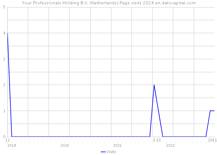 Your Professionals Holding B.V. (Netherlands) Page visits 2024 