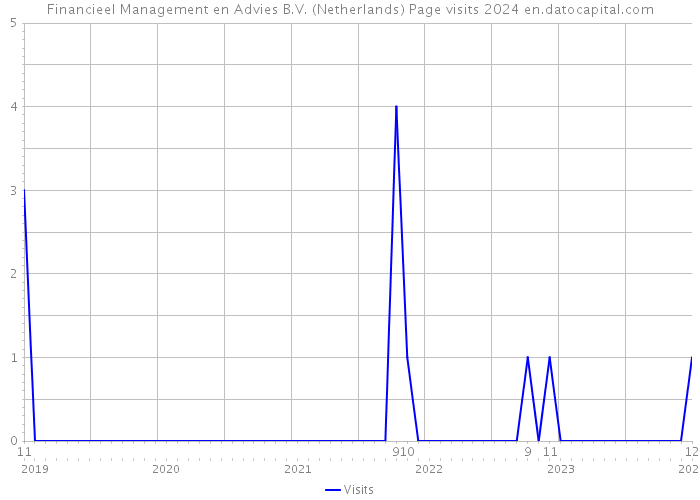 Financieel Management en Advies B.V. (Netherlands) Page visits 2024 