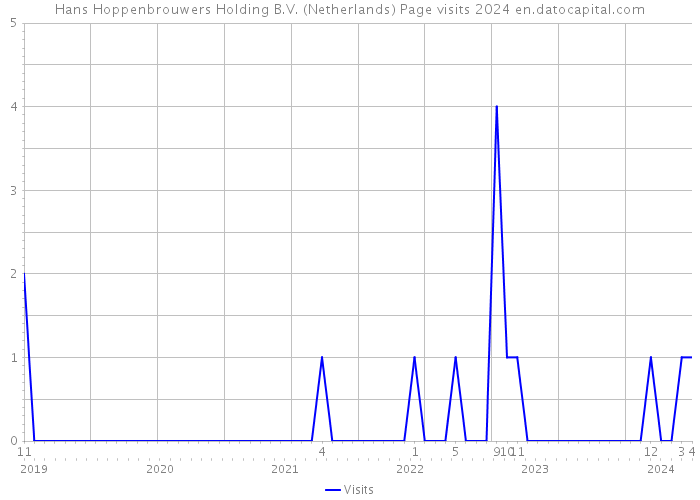 Hans Hoppenbrouwers Holding B.V. (Netherlands) Page visits 2024 