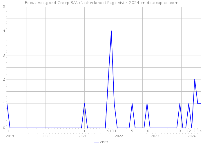 Focus Vastgoed Groep B.V. (Netherlands) Page visits 2024 
