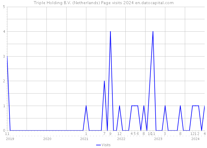 Triple Holding B.V. (Netherlands) Page visits 2024 