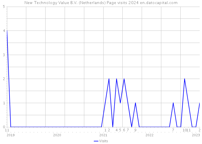 New Technology Value B.V. (Netherlands) Page visits 2024 