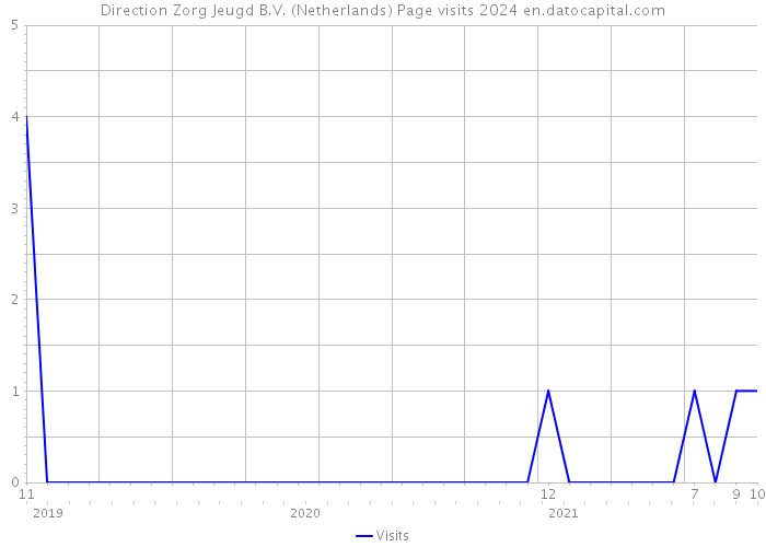Direction Zorg Jeugd B.V. (Netherlands) Page visits 2024 