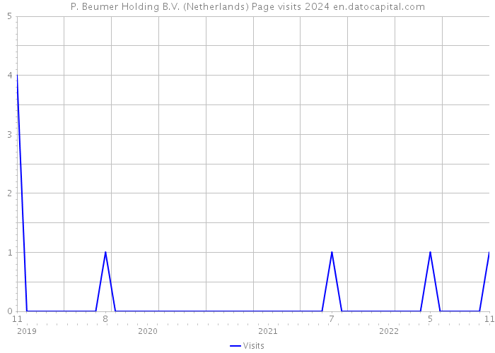 P. Beumer Holding B.V. (Netherlands) Page visits 2024 