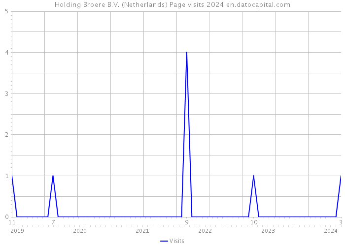 Holding Broere B.V. (Netherlands) Page visits 2024 