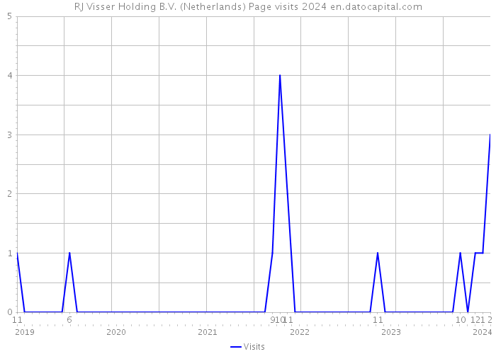 RJ Visser Holding B.V. (Netherlands) Page visits 2024 