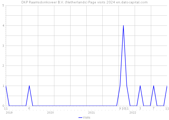 DKP Raamsdonksveer B.V. (Netherlands) Page visits 2024 