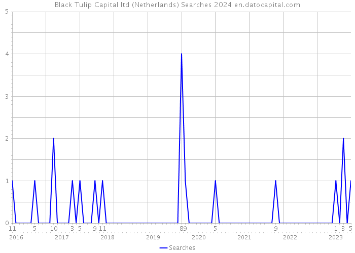 Black Tulip Capital ltd (Netherlands) Searches 2024 