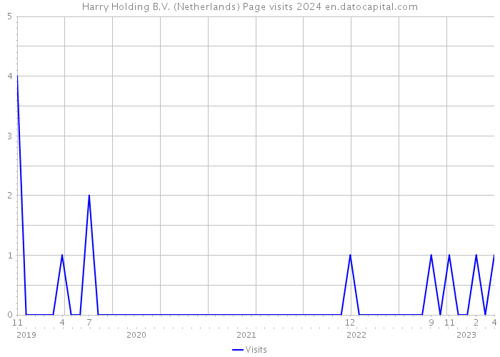Harry Holding B.V. (Netherlands) Page visits 2024 