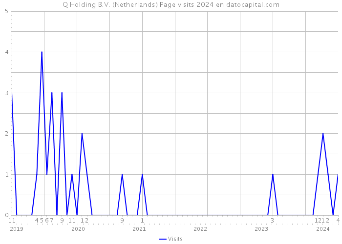 Q Holding B.V. (Netherlands) Page visits 2024 