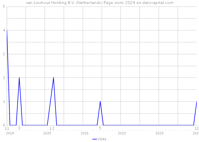 van Lieshout Holding B.V. (Netherlands) Page visits 2024 