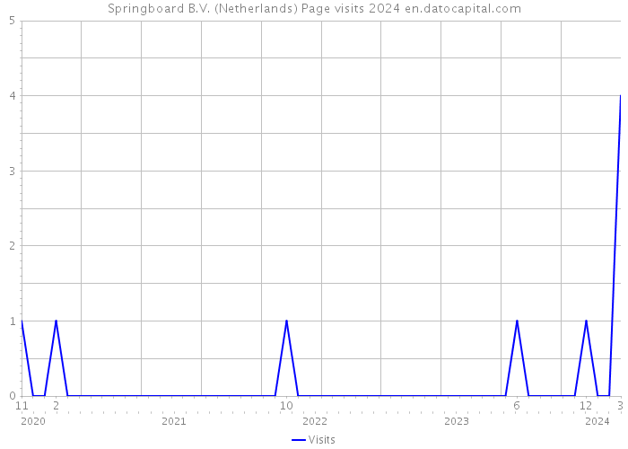 Springboard B.V. (Netherlands) Page visits 2024 