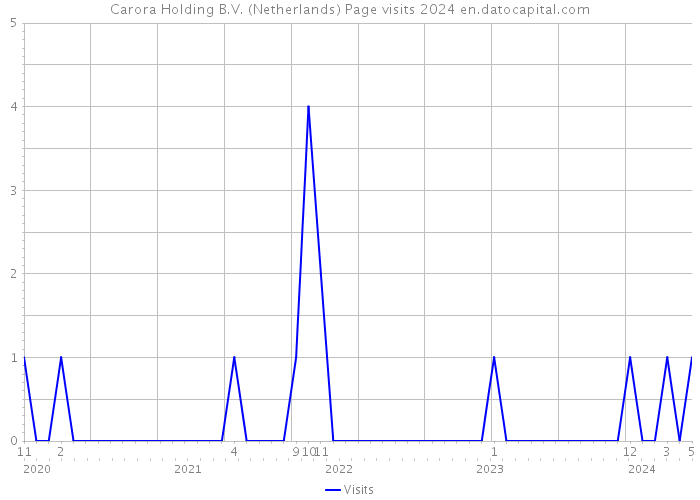 Carora Holding B.V. (Netherlands) Page visits 2024 